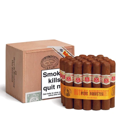 Hoyo de Monterrey Petit Robusto